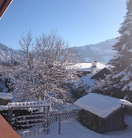 Chalet Yulia Zell am See Exterior photo