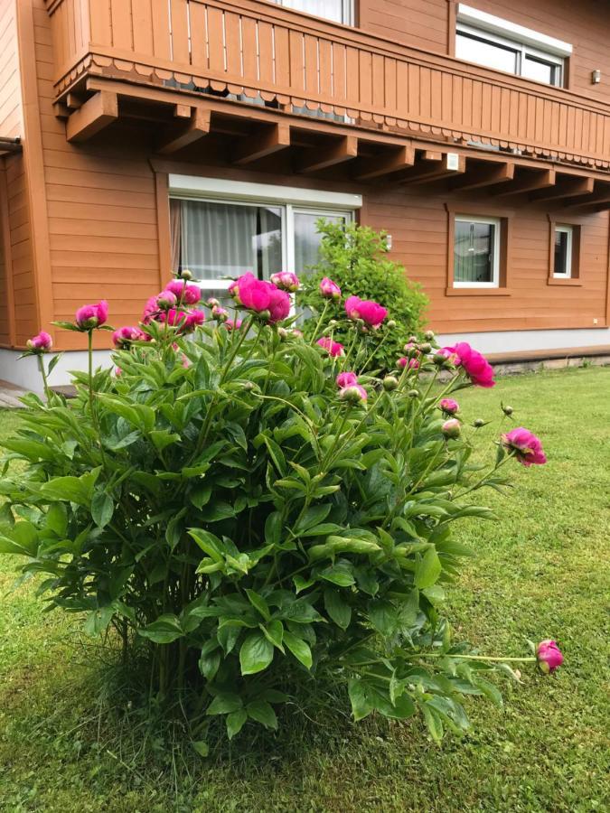 Chalet Yulia Zell am See Exterior photo